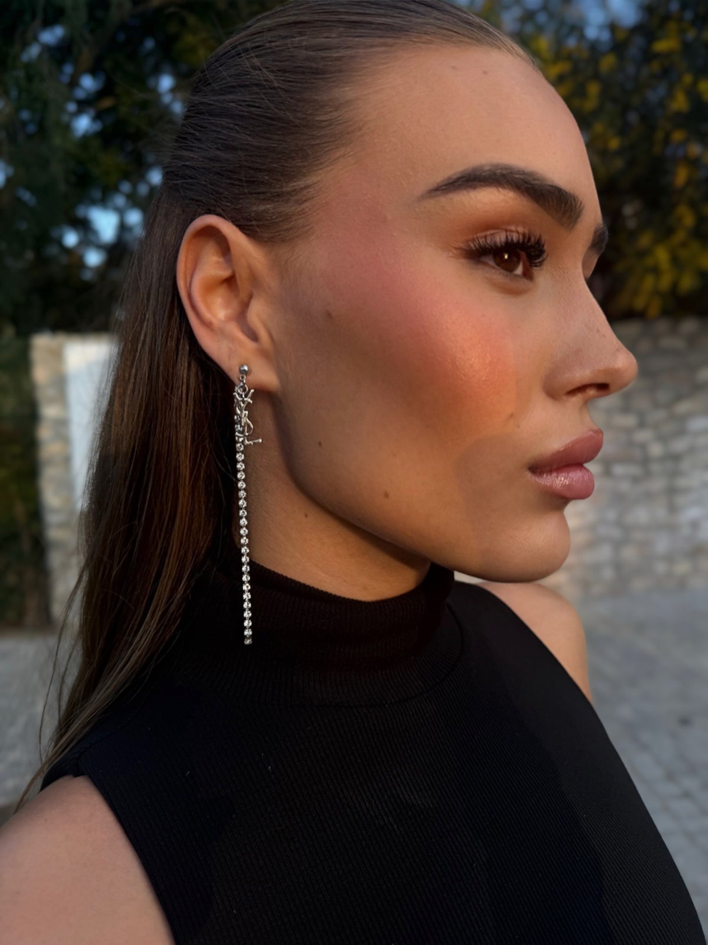 Diamanté Saint earrings